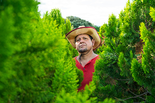 Average age 50-year-old Latino man casually dressed in a straw hat farmer is tending his planted plants while looking at the camera that challenges him