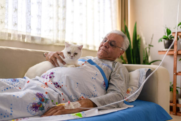 paziente maschio sdraiato a letto, gatto coccolone - animal recovery illness pets foto e immagini stock