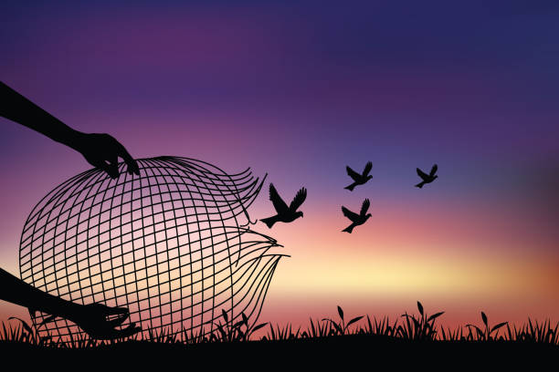 istock freedom concept vector, birds flying for freedom from bird trap net, the bird released from the net, bird set free. 1348099019