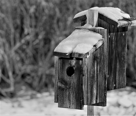 Wooden birdhouse with snow in winter