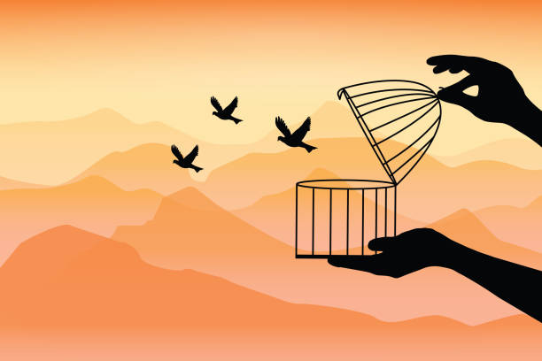 dream birds flying away, the birds flying out of a bird an open cage, the birds released from a cage, freedom concept. birds set free vector illustration. - 釋放 插圖 幅插畫檔、美工圖案、卡通及圖標