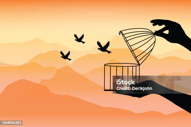 Dream Birds Flying Away The Birds Flying Out Of A Bird An Open Cage The Birds Released From A Cage Freedom Concept Birds Set Free Vector Illustration向量圖形及更多鳥籠圖片
