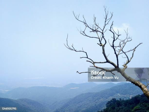 Tam Dao Mountain Stock Photo - Download Image Now - Adventure, Aerial View, Asia