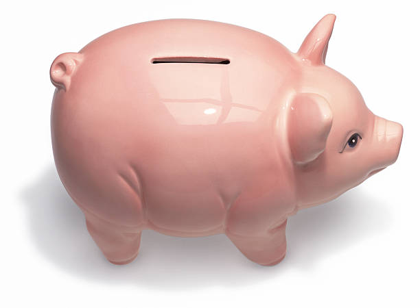 istock Piggy Bank (Isolated) 134810806