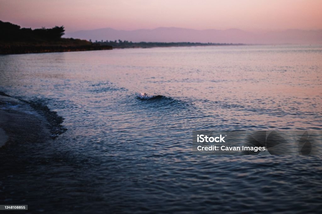 Beach weave sea sunset sun Beach weave sea sunset sun in L'Escala, Catalonia, Spain Beach Stock Photo