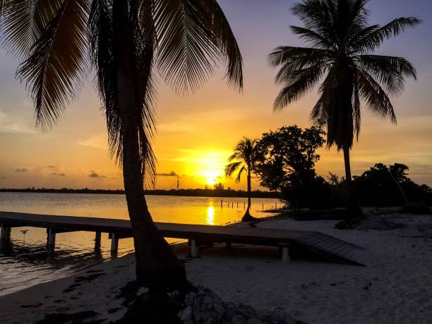 istock The Pier and Palm Trees Color Image 1348113302