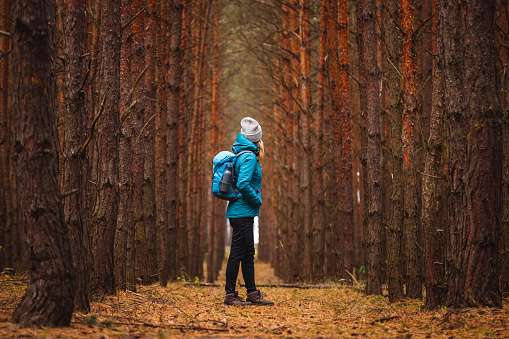 Woman with backpack and knit hat hiking in pine forest. Hiker looking for path out of deep woodland. Autumn trekking and outdoor adventure