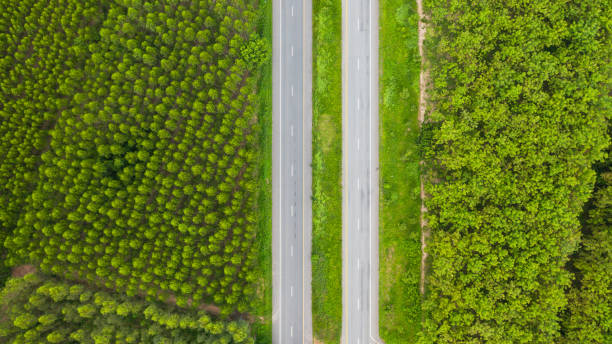 istock Aerial top view over the road and highway 1348113610