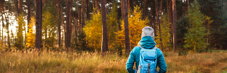 Woman with backpack and knit hat hiking in forest. Panoramic view at woodland with autumn leaf colors. Fall season trekking