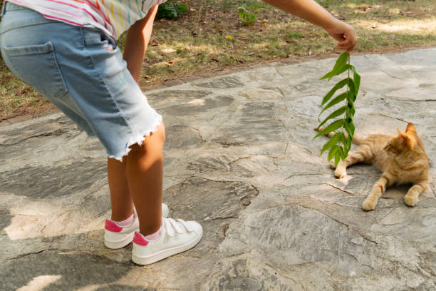 istock Cat and Child at Play 1348114260