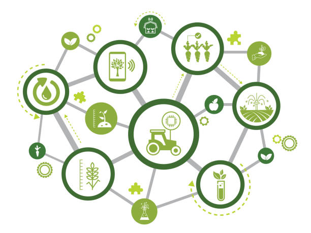 smart farm or agritech vector illustration. Banner with connected icons related to smart agriculture technology, digital iot farming methods and farm automation. smart farm or agritech vector illustration. Banner with connected icons related to smart agriculture technology, digital iot farming methods and farm automation. precision agriculture stock illustrations