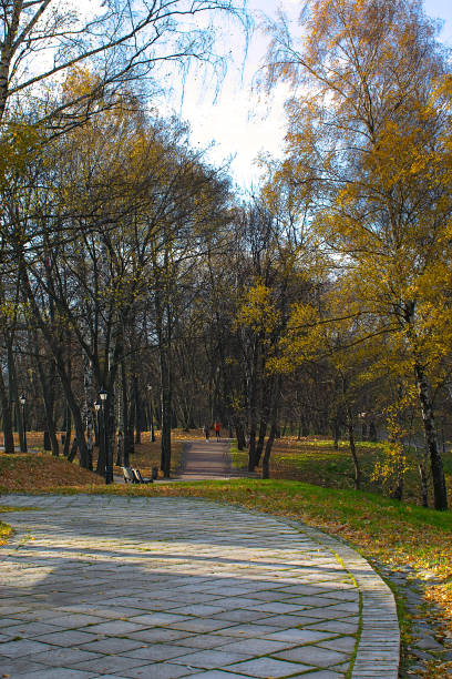 istock A winding path in an autumn park 1348114423
