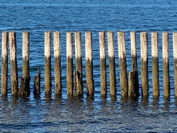 Old dock Castle Island, Boston