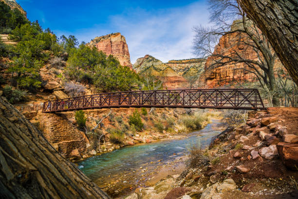 Wooden bridge and scenery in Zion National Park during winter Wooden bridge and scenery in Zion National Park during winter in Utah, USA zion river stock pictures, royalty-free photos & images