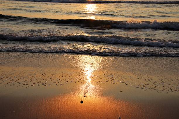 istock Sunrise & the Atlantic Ocean at Virginia Beach 1348116683