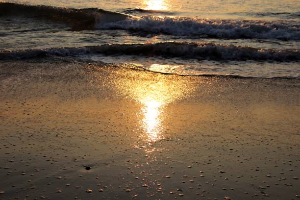 istock Sunrise & the Atlantic Ocean at Virginia Beach 1348117088