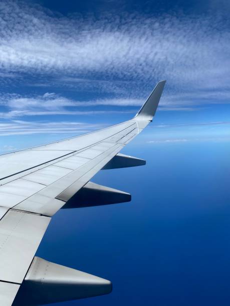 istock Blue bird kind of day - mid flight 1348119162