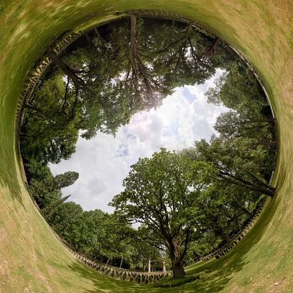 Unusual rabbit hole panorama of park cemetery Ohlsdorf in Hamburg.
