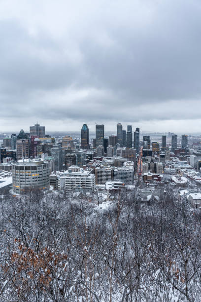 istock Montreal skyline in winter. 1348121794