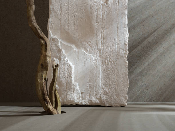 istock White stones and tree branch and shining sun rays, abstract background for object placement, podium packaging design mockup, 3d rendering 1348123659