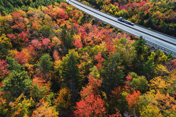 istock Semi Truck On Highway 1348123985