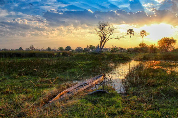 amanecer en okawango - cloud morning delta landscape fotografías e imágenes de stock