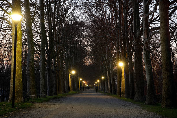 Countryroad by night. This road in an Unesco World Heritage Site. Location: Ferrara, Italy.