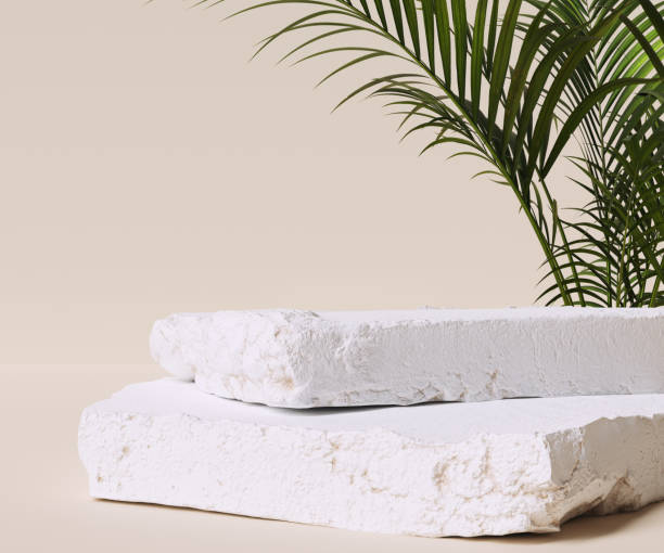 istock Product display background. Stone podium, 3d rendering. Packaging background with stones and plant. 1348128875