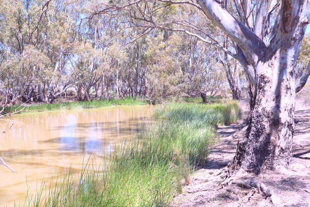 istock Kerang, Victoria, Australia 1348129023