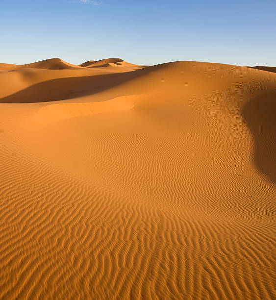 istock Textured sand dunes in the Sahara Desert 134812925