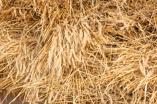 Huge pile of Hay
