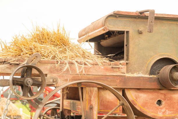 Old vintage agricultural Threshing Machine for harvesting wheat.