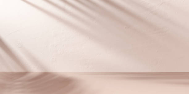 istock Shadows on wall with tropical tree texture product display mockup, minimal pastel beige scene for beauty products presentation and showcase banner. 3d rendering 1348129852