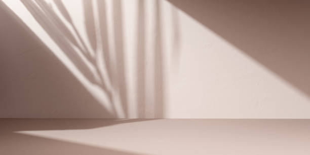 istock Empty room wall with texture tropical leaves shadow, minimal pastel beige summer abstract background for product presentation and object display. 3d rendering 1348130008