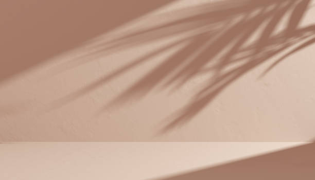 istock Empty Room with tropical leaves shadow on wall - tan color background. Minimal summer scene with palm tree leaf. 3d rendering 1348130046