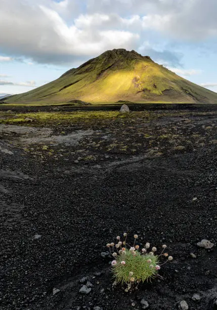 Maelifell is a volcano located in southern Highlands of Iceland.  It is a composite cone volcano formed by volcanic eruptions underneath the Myrdlsjokull glacier.