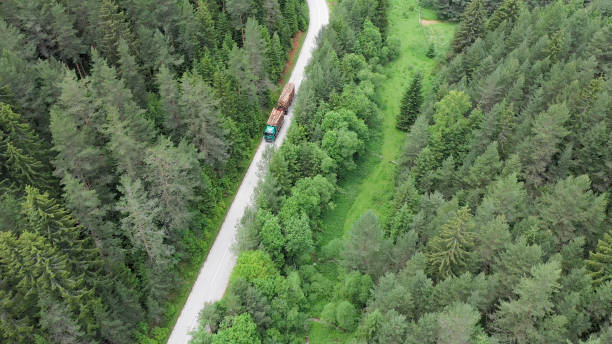 istock The truck is transporting tree trunks 1348133058