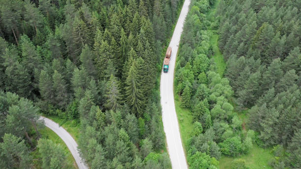 le camion transporte des troncs d’arbres - lumber industry forest tree pine photos et images de collection
