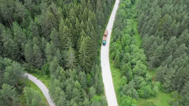 Photo of The truck is transporting tree trunks