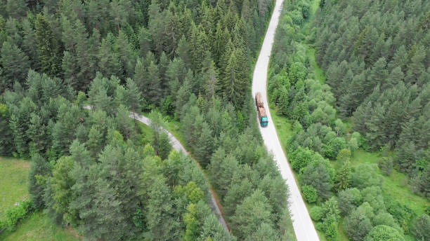 le camion transporte des troncs d’arbres - lumber industry forest tree pine photos et images de collection