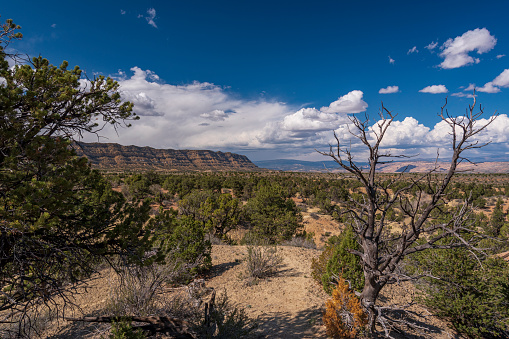 Scenic view of a distant mesa in Grand Staircase-Escalante National Monument in southern Utah during the fall.