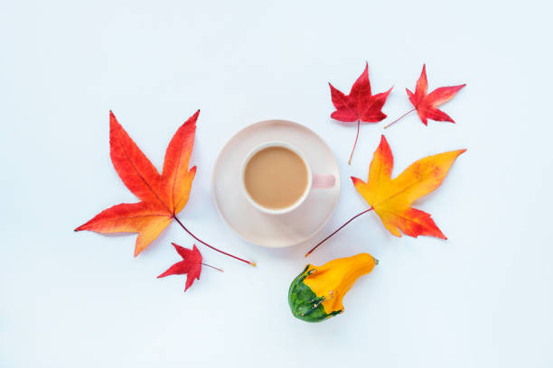 istock Coffee cup and autumn leaves on white background, top view, flat lay. Fall concept 1348136266