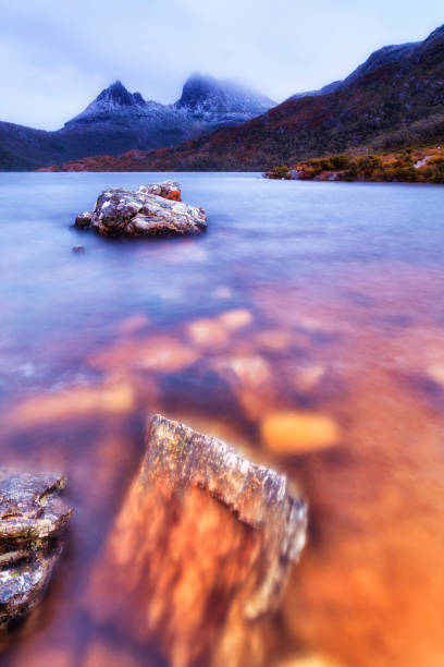 istock Tas Cradle Dove Vert lake bed rocks 1348136519