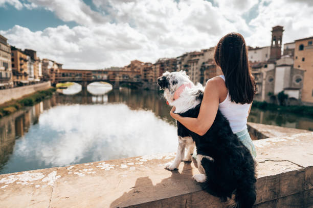 istock tourist in florence with a dog 1348136586