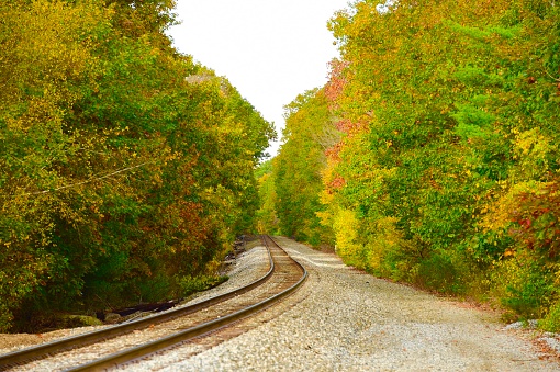 Fall foliage in the Northeast USA