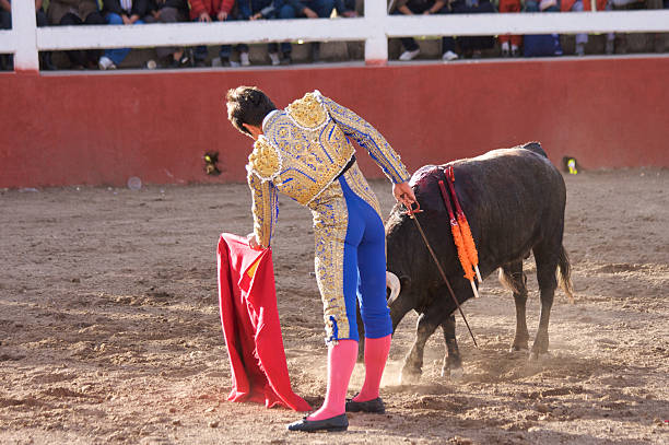 istock Bullfighter Matador in action 134813735