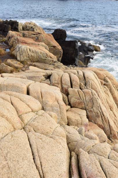 istock Rocky Coastline in New England 1348138139