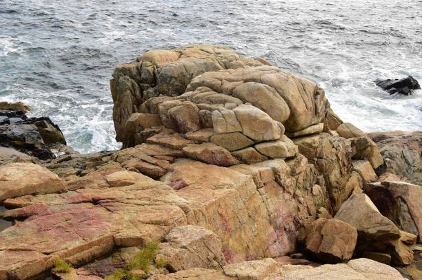 istock Rocky Coastline in New England 1348138147