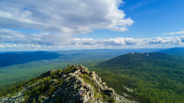 istock coniferous forest growing on stony soil of a mountain 1348139976