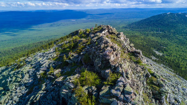 istock tourists on top of a mountain covered with coniferous forest 1348140795